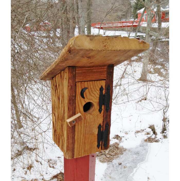 Chester County Mushroom Wood Outhouse Birdhouse
